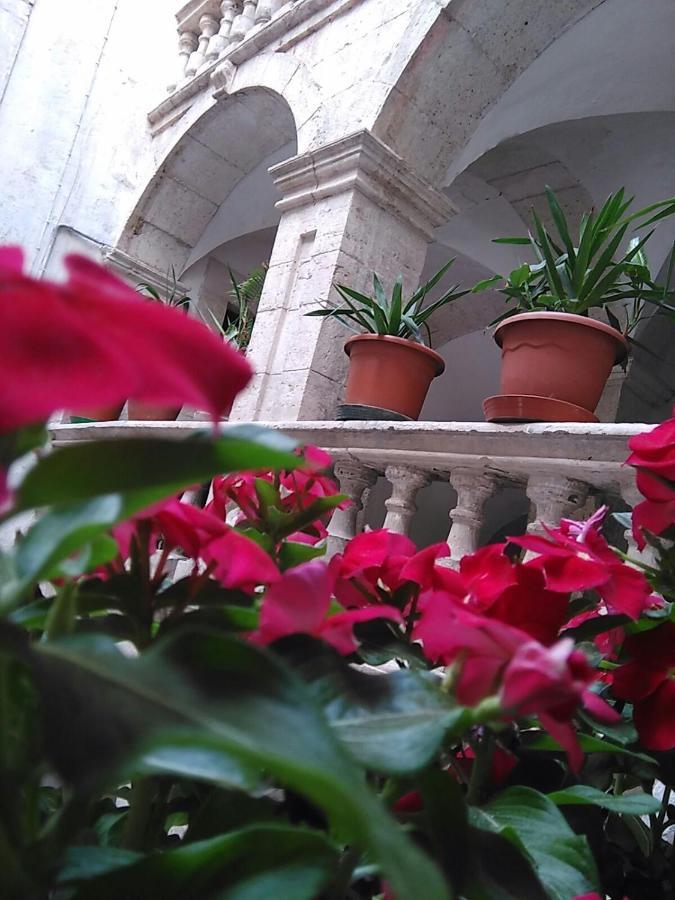 Le Bifore B&B Molfetta Exteriér fotografie