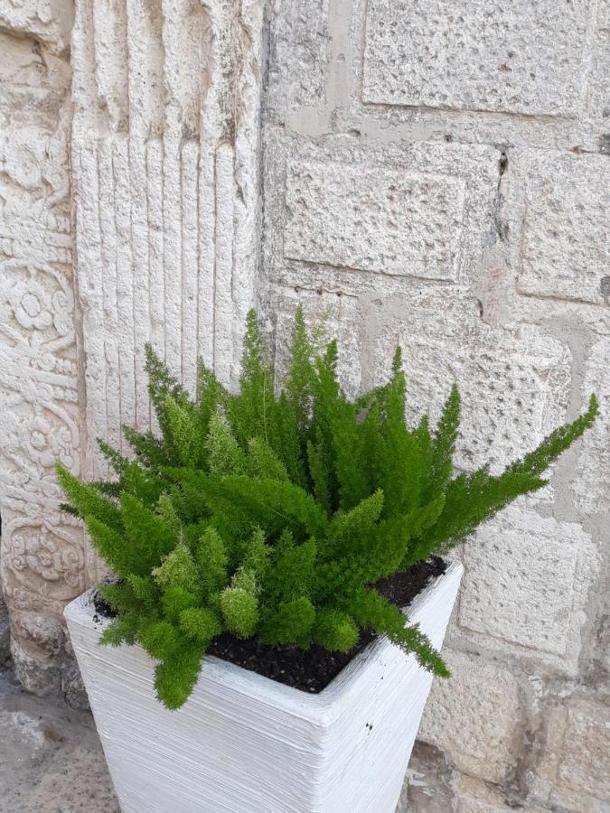 Le Bifore B&B Molfetta Exteriér fotografie